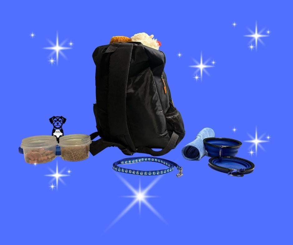 Doggie Go Bag – Dog Travel Backpack with Bowls, Food Containers & Leash