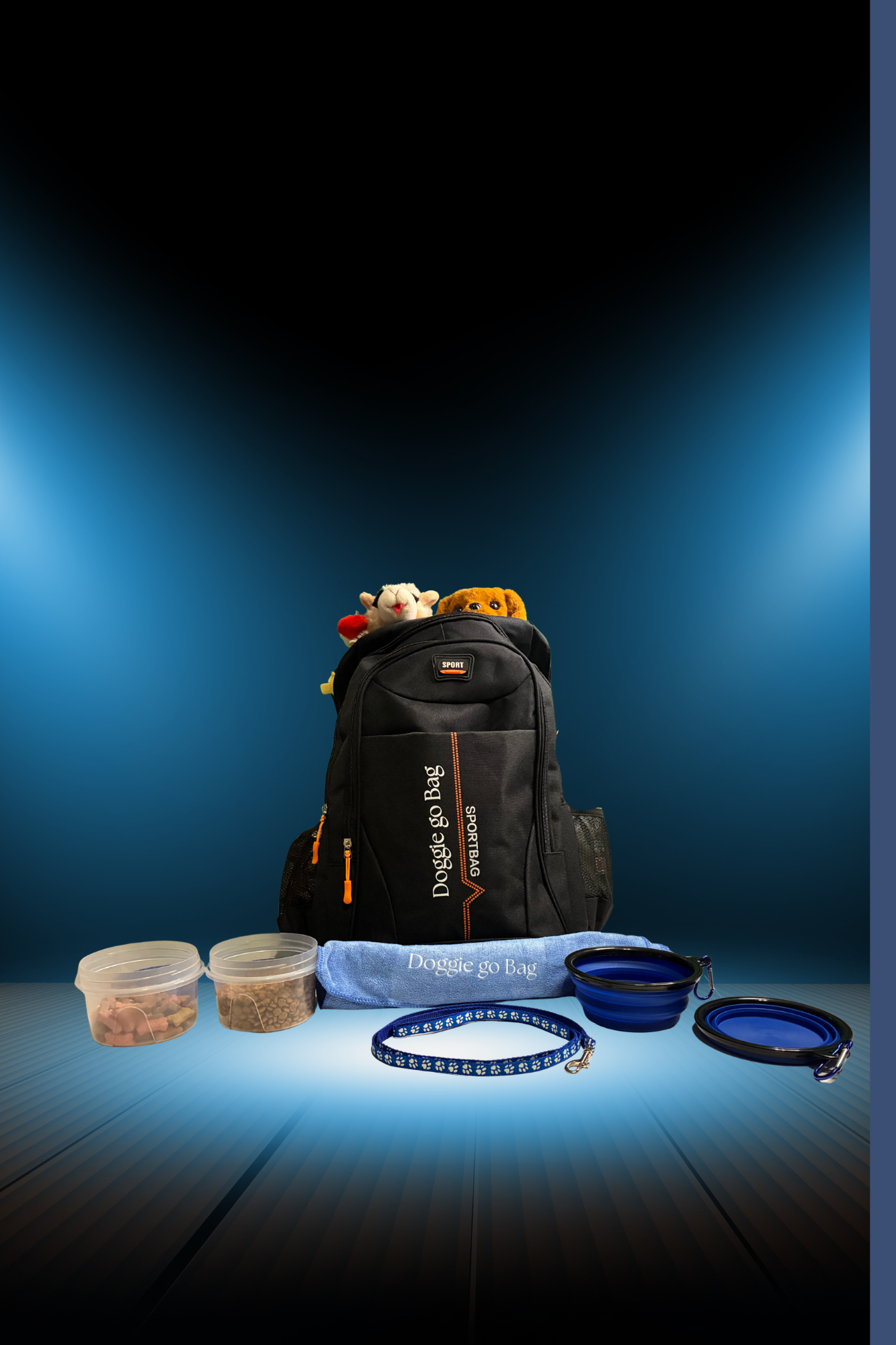 Pet Essentials Travel Backpack for Dog Owners (Doggie Go Bag)